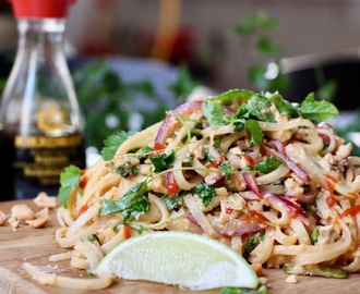 Vegansk Pad Thai – Jävligt Gott Festivalkäk med Bråvallafestivalen