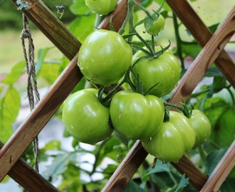 Grön tomatmarmelad, är det gott eller?