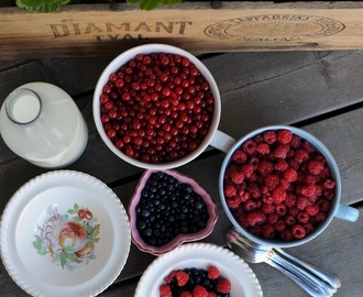 Sommardagar, bärlycka och recept på den godaste blåbärsglassen