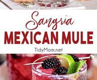 Wine lovers this Moscow Mule is for you!! Sangria Mexican Mule is a tequila based version of the classic Mosc… | Mule cocktail recipe, Boozy drinks, Alcohol recipes