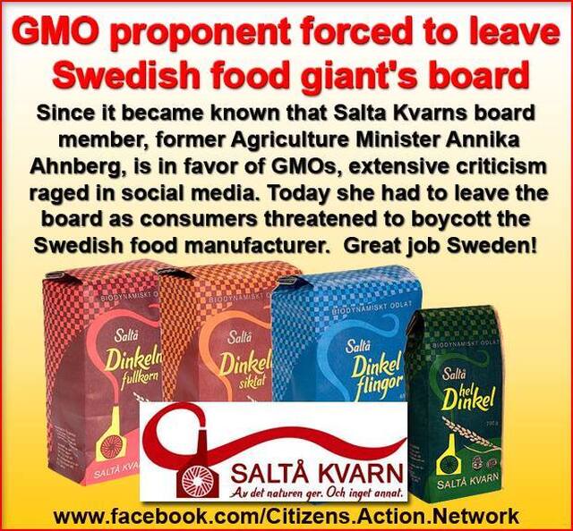 GMO-förespråkare tvingas lämna Saltå Kvarns styrelse
