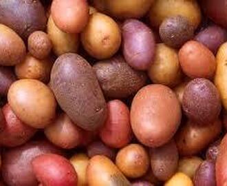 Sötpotatis vs. vanlig potatis