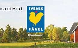 Mat - Fågel