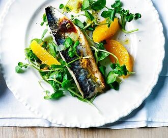 Grilled mackerel fillets with lime mojo | Recipe | Mackerel recipes, Grilled mackerel, Mackerel fillet recipes