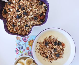 Kanel- och blåbärsgranola rostad i stekpanna