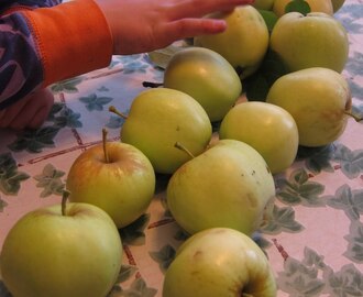 Plocka äppel
