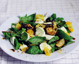 Mozzarellasallad med grillad zuccini