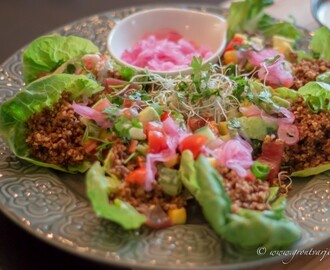 Raw food middag en klassiker, Taco Fredag!