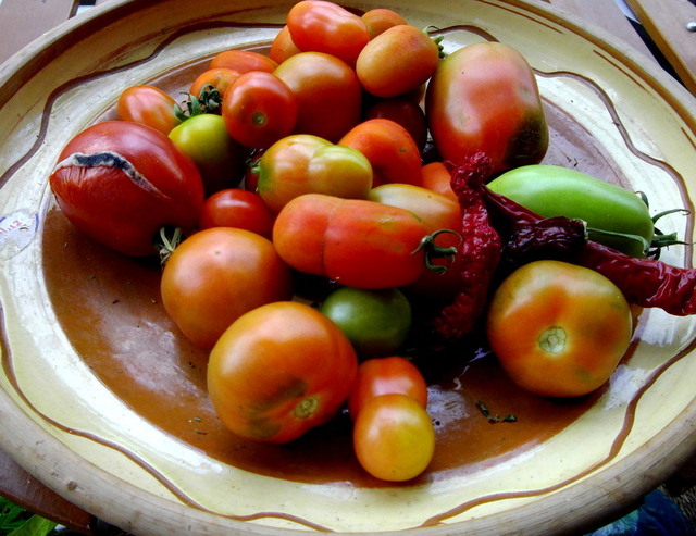 Tomatsallad