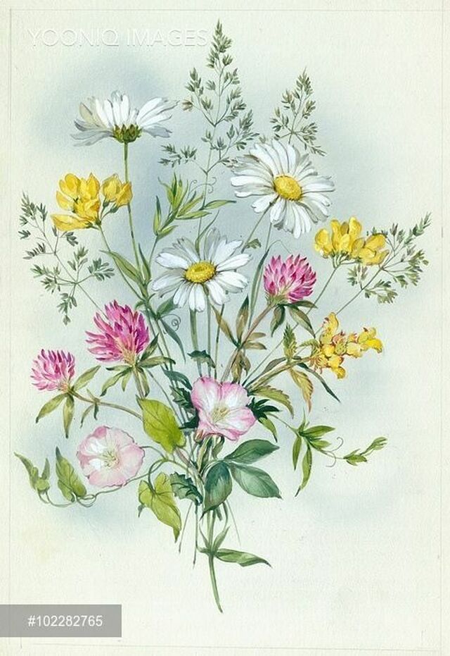 (32) Gallery.ru / Фото #33 - 2 - Fyyfvbwrtdbx1957 | Cards 6 in 2019 | Floral watercolor, Flower embroidery designs, Floral drawing