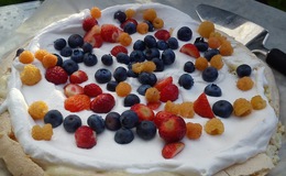 pavlova