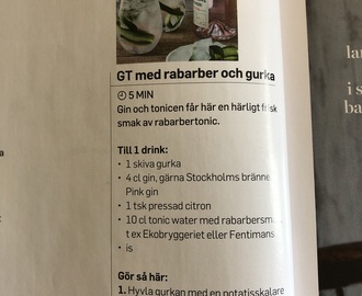 GT med rabarber och gurka