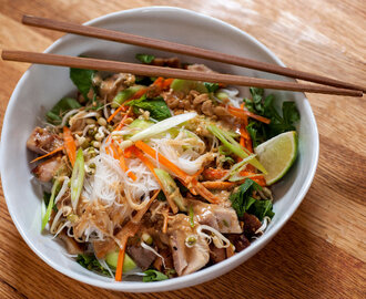 Cold Rice Noodles With Grilled Chicken and Peanut Sauce