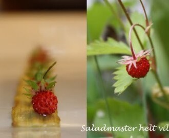 Karamellisert rabarbra med markjordbær