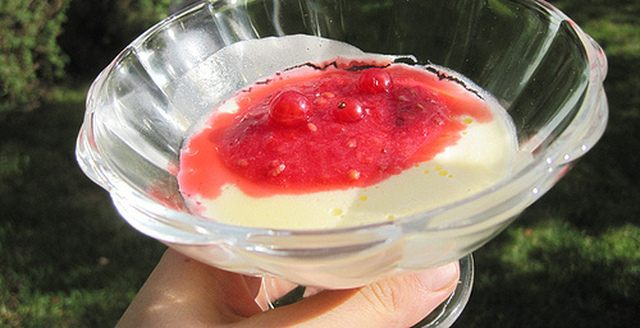 Pannacotta med syrlig vinbärssås