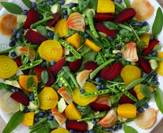 Inspriring Colorful Salad with Chèvre and Grilled Chicken – Inspirerande Färgfylld Sallad med Chèvre och Grillad Kyckling