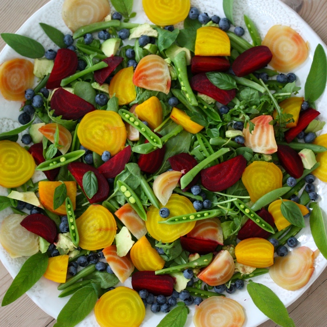 Inspriring Colorful Salad with Chèvre and Grilled Chicken – Inspirerande Färgfylld Sallad med Chèvre och Grillad Kyckling
