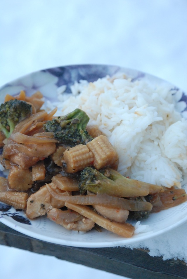 Hemmagjord kinamat, strimlad kyckling med bambuskott och broccoli