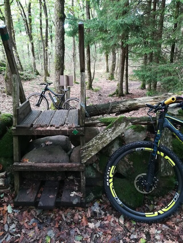 Att lära sig cykla MTB i skogen!