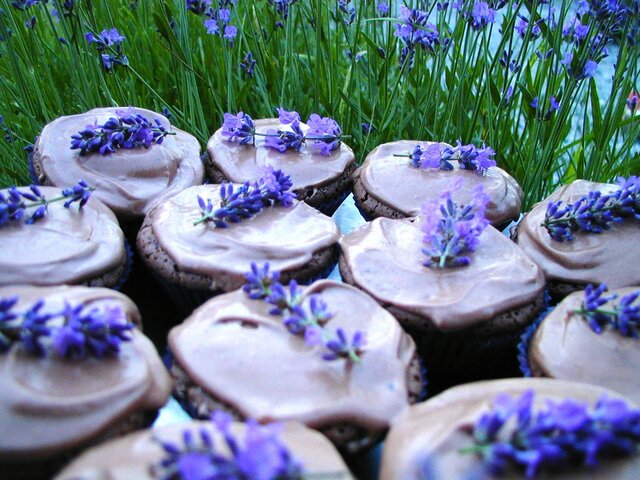 Lavendel cupcakes