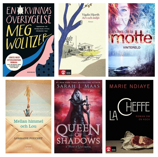 Sex böcker jag ser fram emot att läsa under vintern