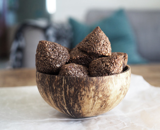 Sockerfria kokostoppar med kakao