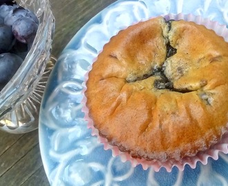 Blåbärs Muffins
