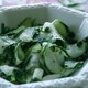 Sallad