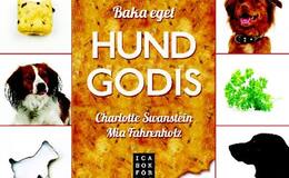 Hundgodis