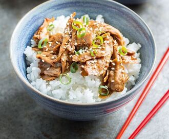 Teriyaki marinated soy meat