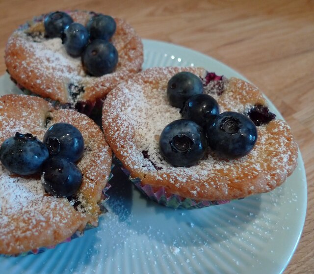 muffins med blåbär och vit choklad