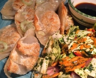 Fläsk- och ingefärsfyllda dumplings med het morot- och koriandersallad