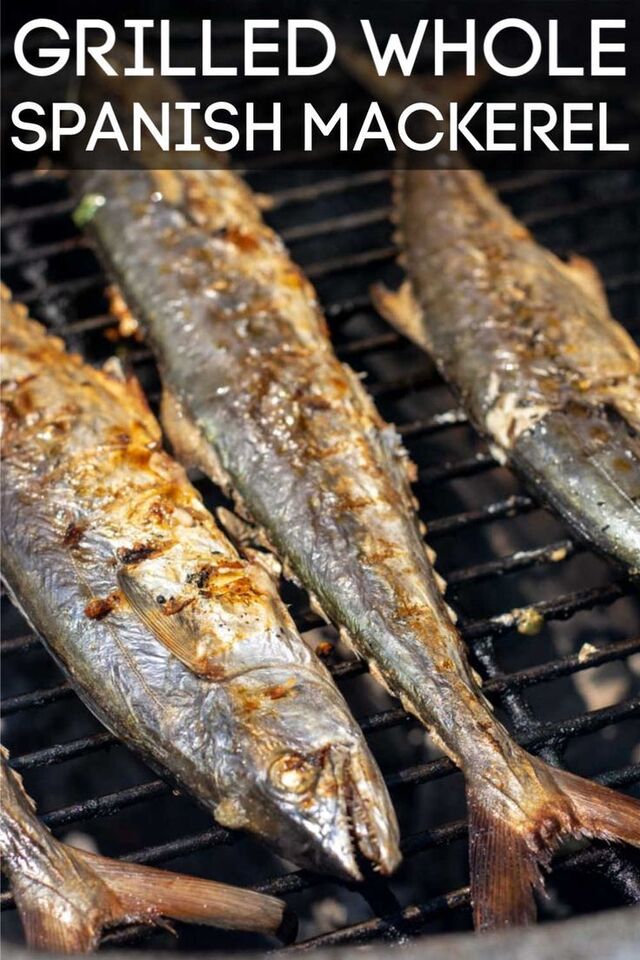 Grilled Whole Spanish Mackerel in Less Than 20 Minutes! | Recipe | Spanish mackerel recipe grilled, Spanish mackerel, Mackerel recipes