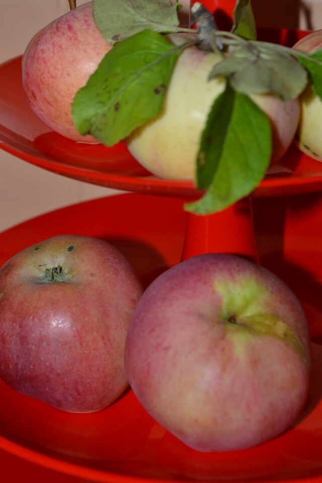Fläskfilégryta med äpple och len creme fraiche sås :)