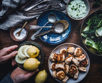 Fiskbullar från grunden - Sara Bäckmo