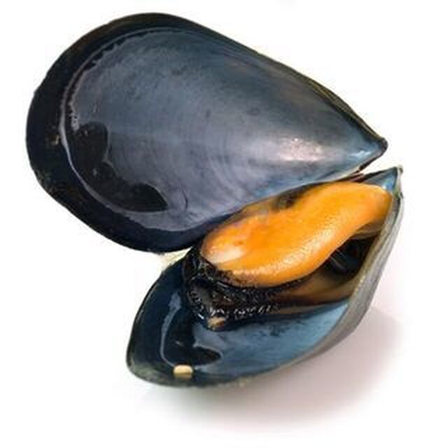 Ångkokta musslor