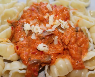 Underbar vegetarisk pastasås med morötter, champinjoner och ajvar