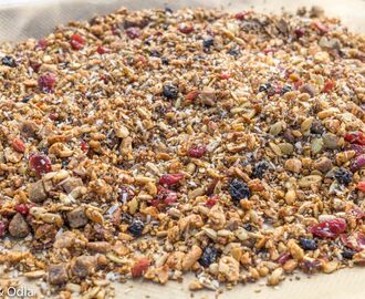 Egengjord gluten- och sockerfri granola