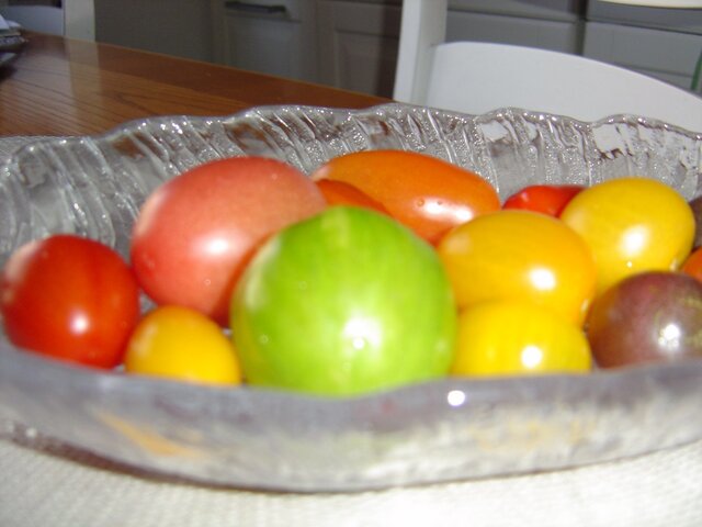 Vilda tomater med getost