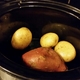 slow cooker