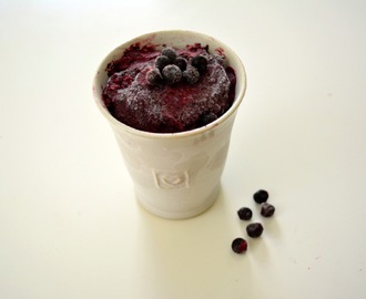 Raw blueberry mousse