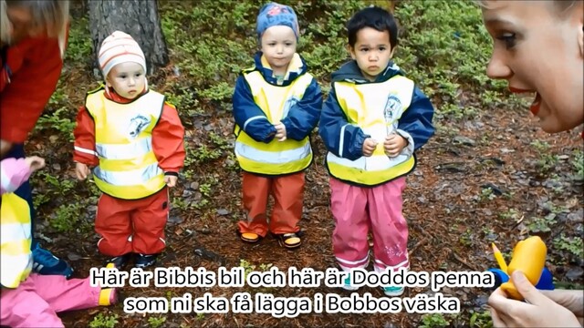 Björkens och Granens äventyr med Bobbos väska, grupp 2, VT17