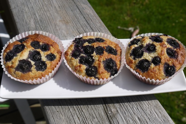 Blåbärsmuffins lchf