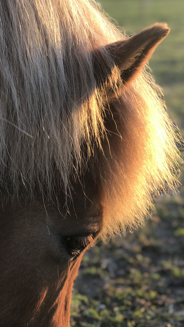 Härligt soliga onsdag!