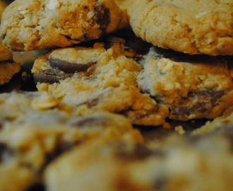 super-chocolate-yummi-fantastic-still-warm-cookies-with-milk