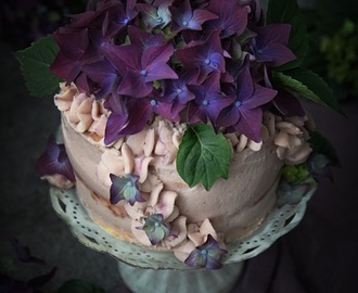 Angel Food Cake tårta med färskost fyllning och blåbärspuré ~ ett sent firande