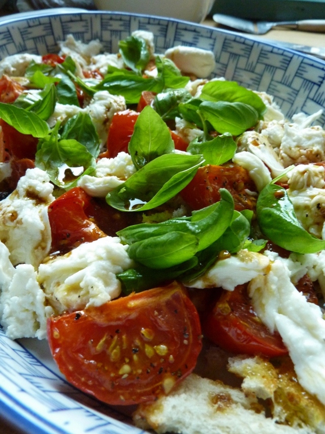 Brödsallad med mozzarella och rostade tomater (panzanella)