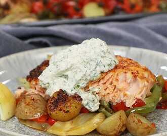 Ugnsbakad lax med fänkål och paprika