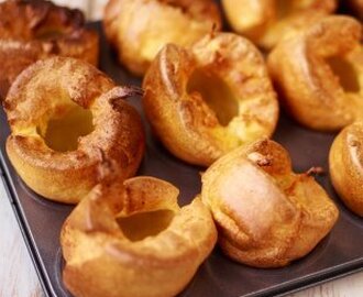 Amazing Yorkies