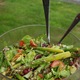 Sallad